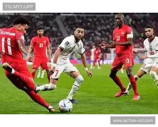 奥地利冲击2026世界杯预选赛关键战 能否首次晋级正赛创造历史 奥地利冲击2026世界杯预选赛关键战 能否首次晋级正赛创造历史